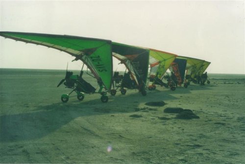 nico 4 (Medium).jpg