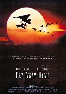 220px-Fly_away_home_poster.jpg