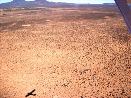 Site earmarked for solar power station.JPG