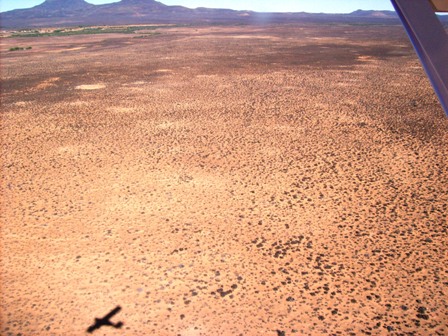 Site earmarked for solar power station.JPG