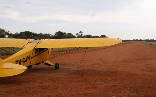 Cub and runway.JPG