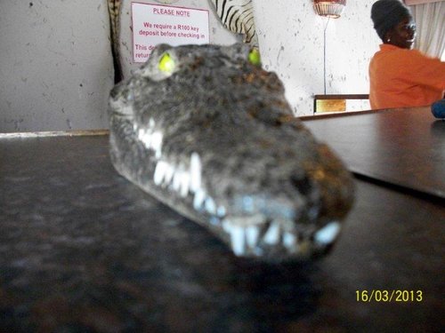 100_5278.jpg