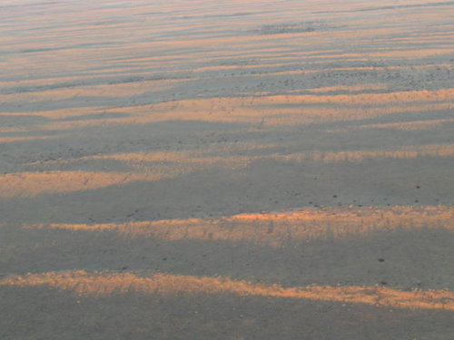Romans en Oryx en Upington 026.JPG