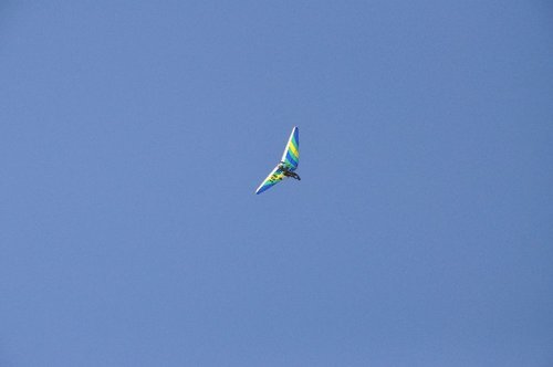DSC_0234.jpg