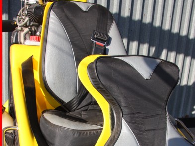 Cobra Safety Belt.jpg