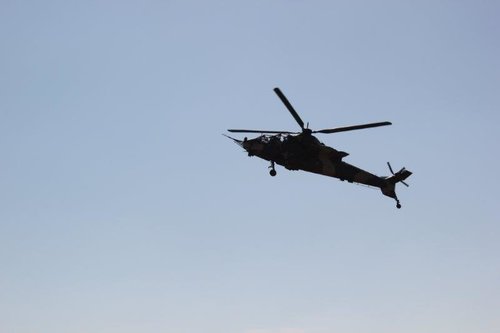 IMG_6521.jpg