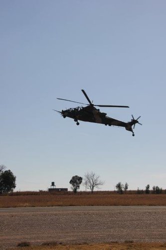 IMG_6522.jpg