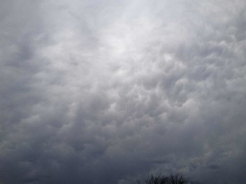 Weather Photo - Lonehill - 13.08.09 10h30 - 3.JPG