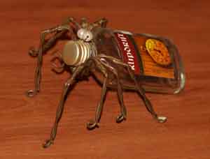 Spider.jpg