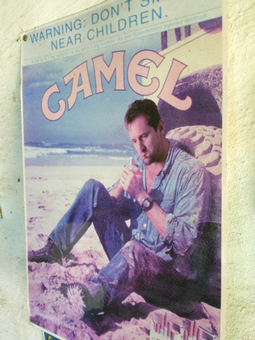Camel-advert.jpg