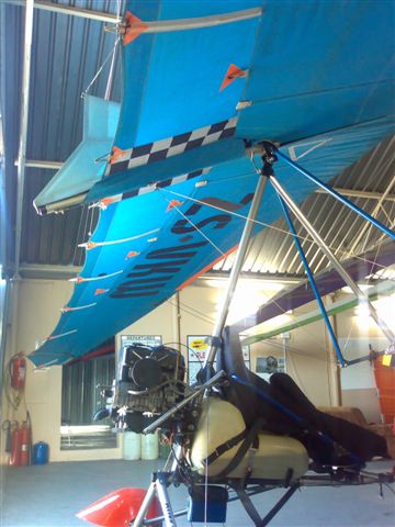 wing2.jpg