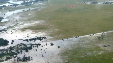 Swamps 04.jpg