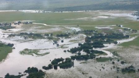 Swamps 06.jpg