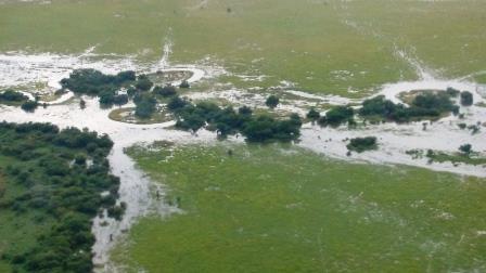 Swamps 07.jpg