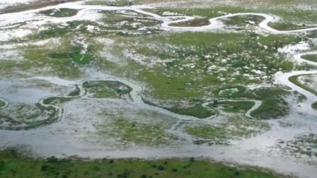 Swamps 08.jpg