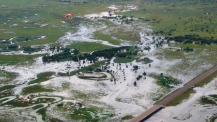 Swamps 09.jpg
