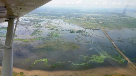 Swamps 10.jpeg