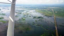 Swamps 11.jpeg