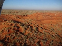 DSC01432.jpg