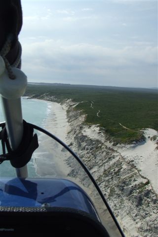 DSCF9502.JPG