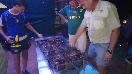 Bosveld breakfast2014 056.jpg