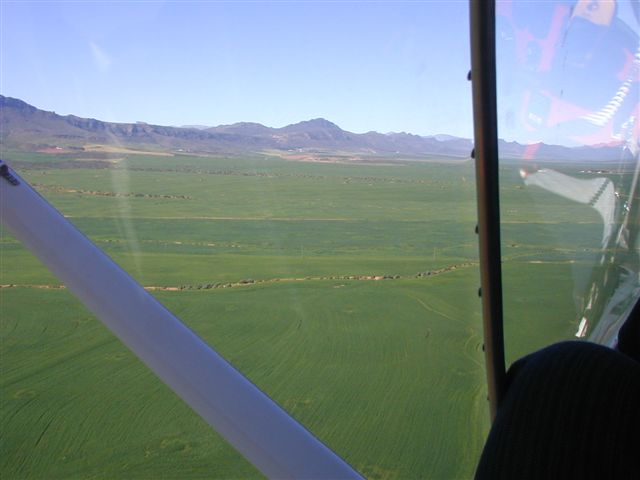 P8050046.JPG