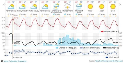 wx.jpg