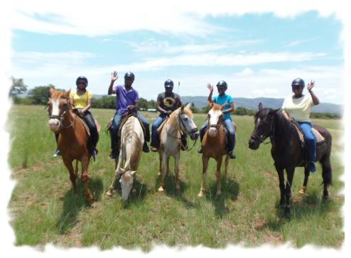 horses1.jpg.opt494x363o0,0s494x363.jpg