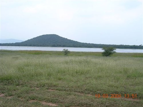 DSCN4158.JPG
