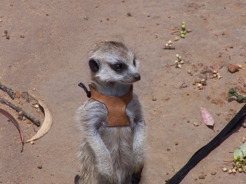 Picture 015.jpg