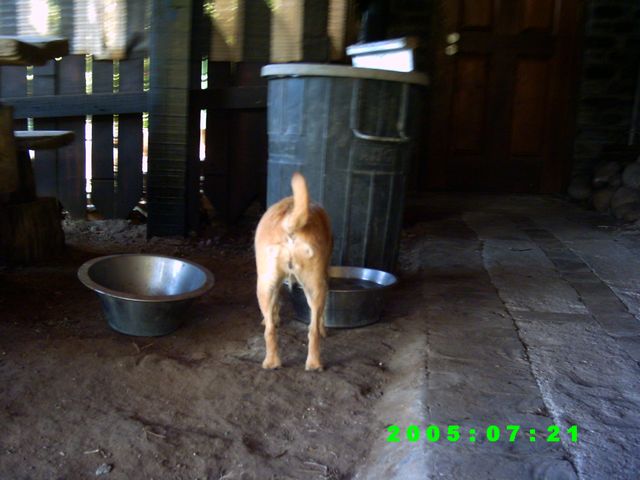 Picture 002 [640x480].jpg
