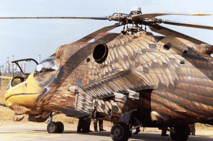 3557Eagle_Hind_2.jpg