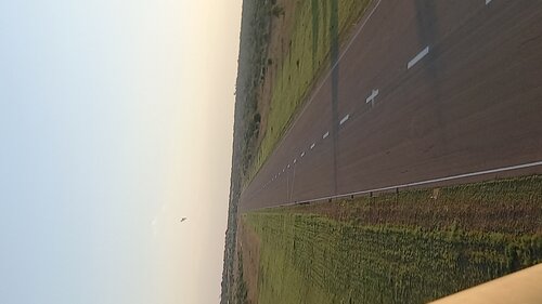 20241206_054017.jpg