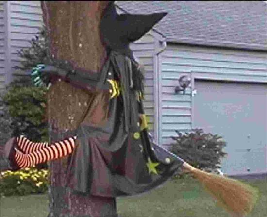 broom1.jpg