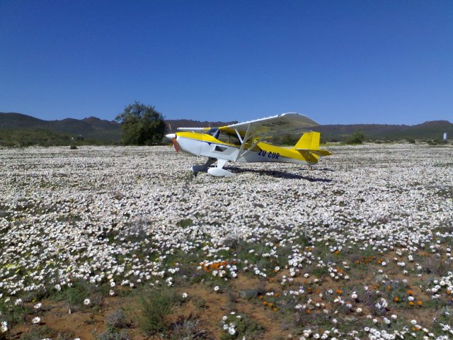 blommetjies.jpg