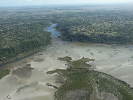 Bay.jpg