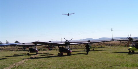 sP1010003.jpg