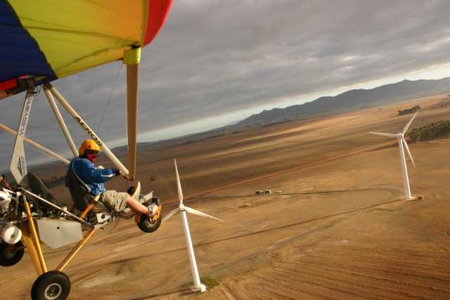 flyday3.jpg