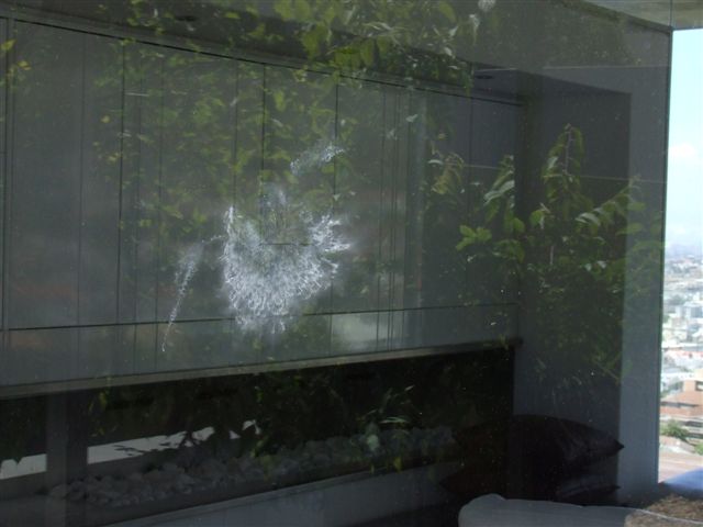 DSCF1249.JPG