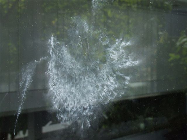 DSCF1253.JPG