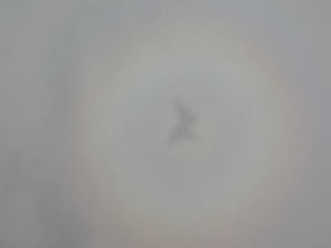ZU-AWA bo wolke 1Maart.JPG