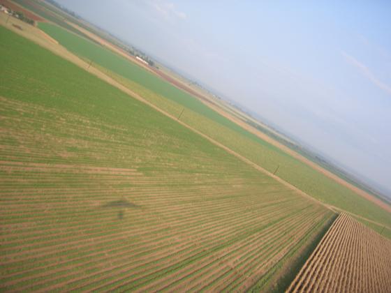 looking for runway.JPG