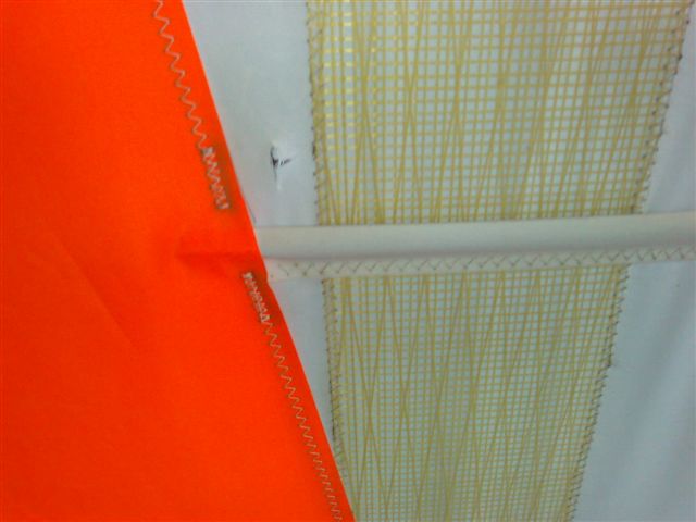Damage to wing.jpg