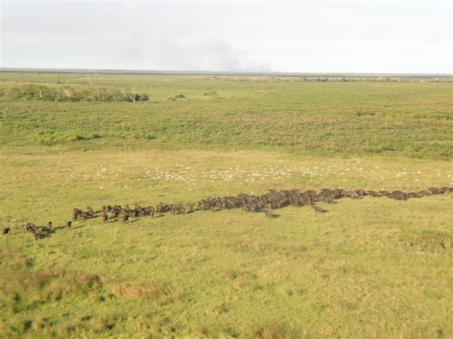 Pic 3.jpg