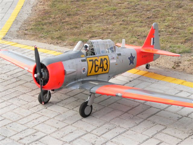 P1130687.JPG