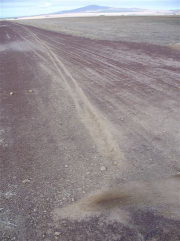 P1000685.JPG