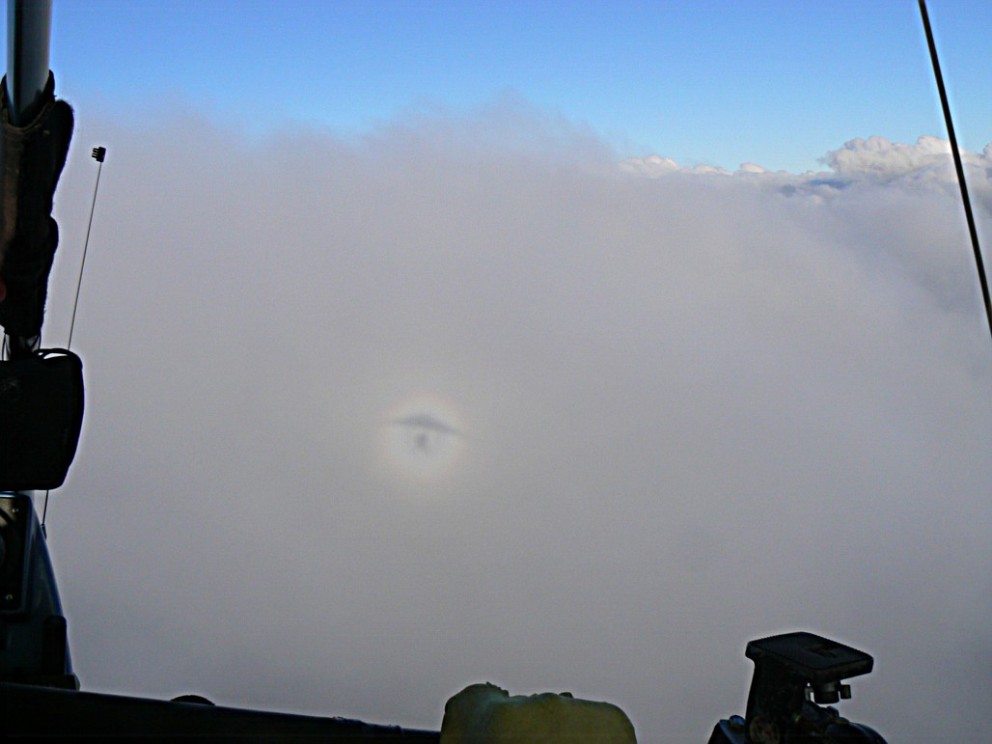 P1000221.jpg