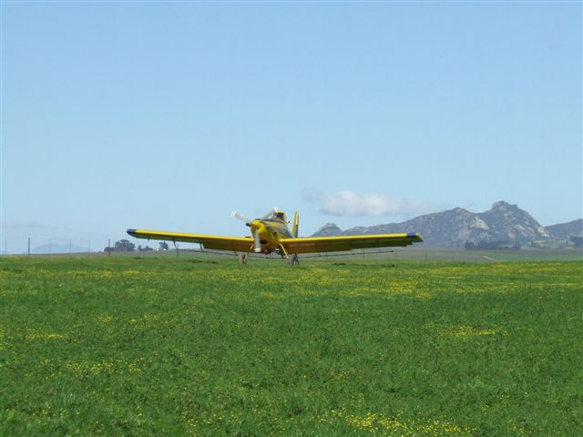 DSCF2675.JPG