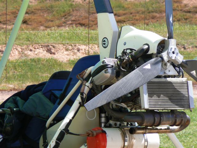 P1010005.JPG