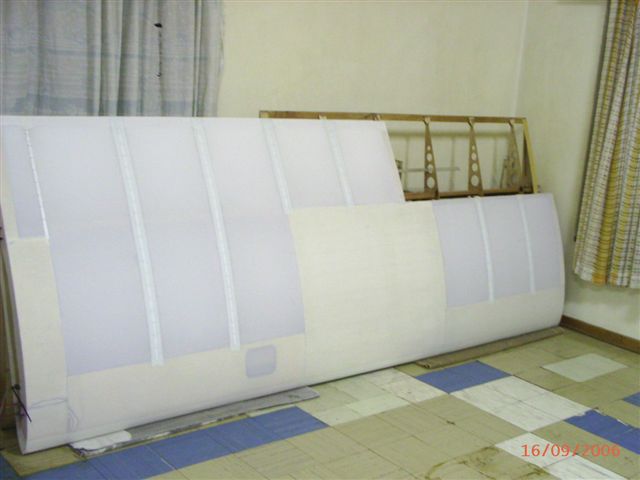 Covering wing1.jpg
